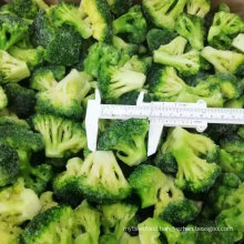 New Crop Frozen Vegetable Broccoli